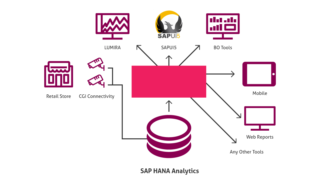 SAP HANA Analytics